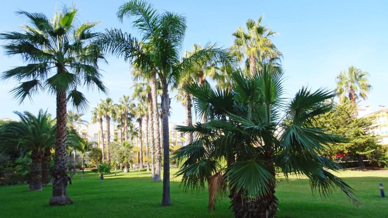 Palmeras En La Playa - Beach House In Oliva Eksteriør billede